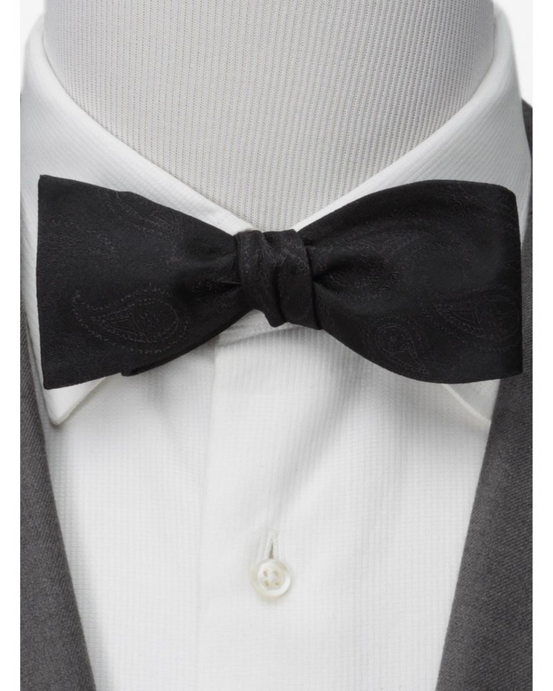 Star Wars Vader Paisley Black Bow Tie $19.76 Ties